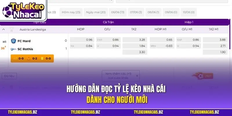 Hướng dẫn đọc bảng tỷ lệ kèo nhà cái